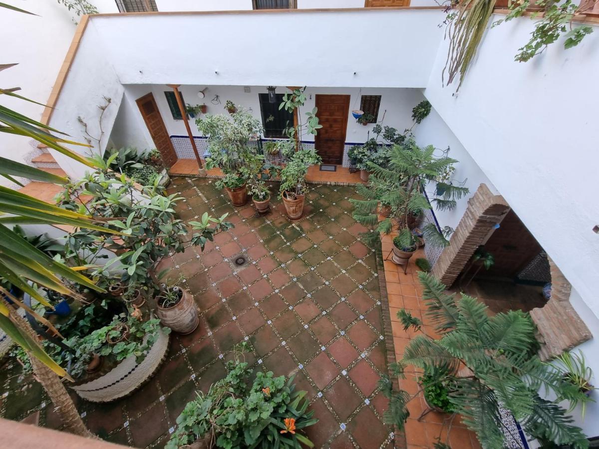 Apartamento De Estreno En Los Patios Tipicos De San Basilio 科爾多瓦 外观 照片