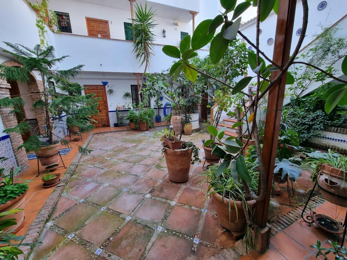 Apartamento De Estreno En Los Patios Tipicos De San Basilio 科爾多瓦 外观 照片